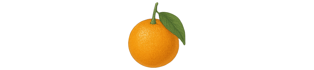 Sinaasappel