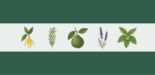 Inner Peace: een moment voor jou. Een kijkje achter de blend