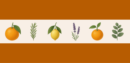 Focus: helderheid uit je zintuigen. Een kijkje achter de blend