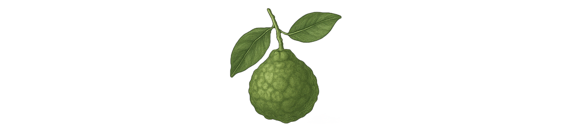 Bergamot
