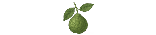 Bergamot