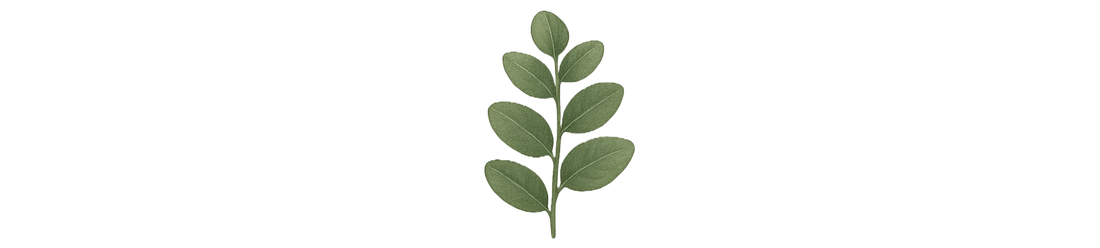 Eucalyptus