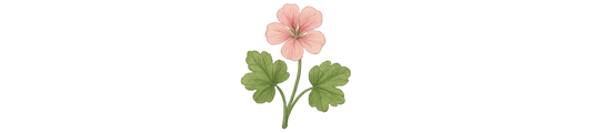 Geranium