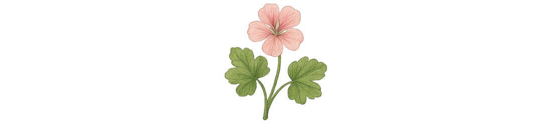Geranium